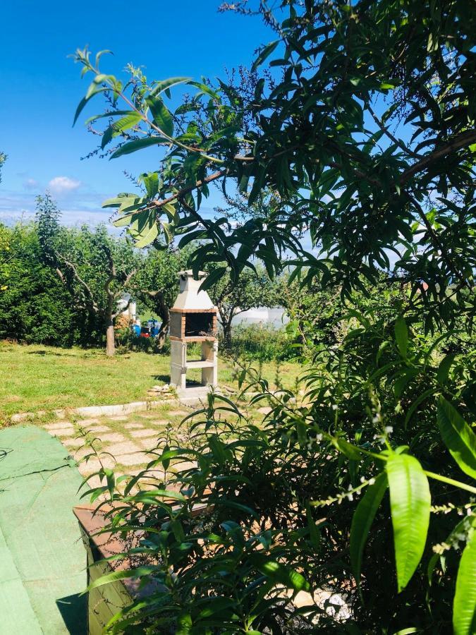 Villa Camelia Casina Rural à Albuerne Extérieur photo