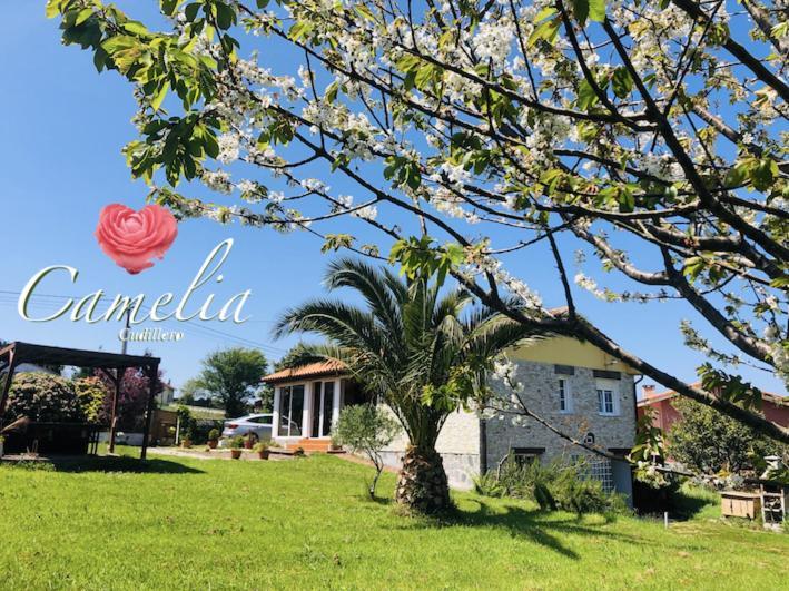 Villa Camelia Casina Rural à Albuerne Extérieur photo